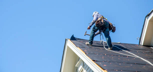 Best Roof Gutter Cleaning  in Mount Pleasant, MI